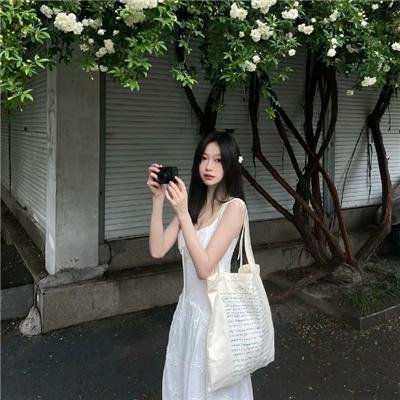 加菲猫家族